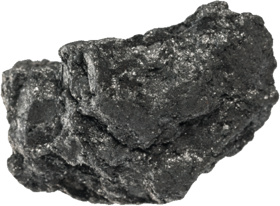 C Hebestreit 1027 Cropped