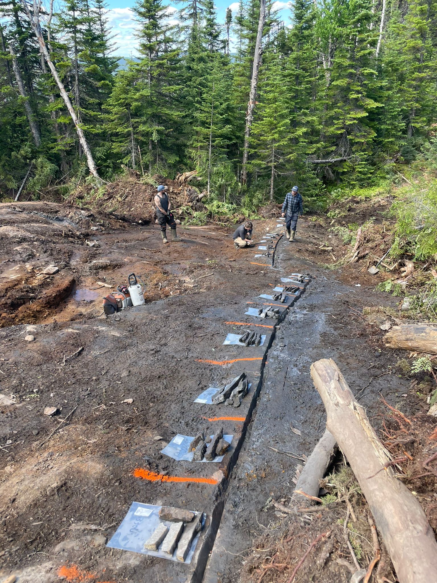 Photo 2022 07 05 Pic 2